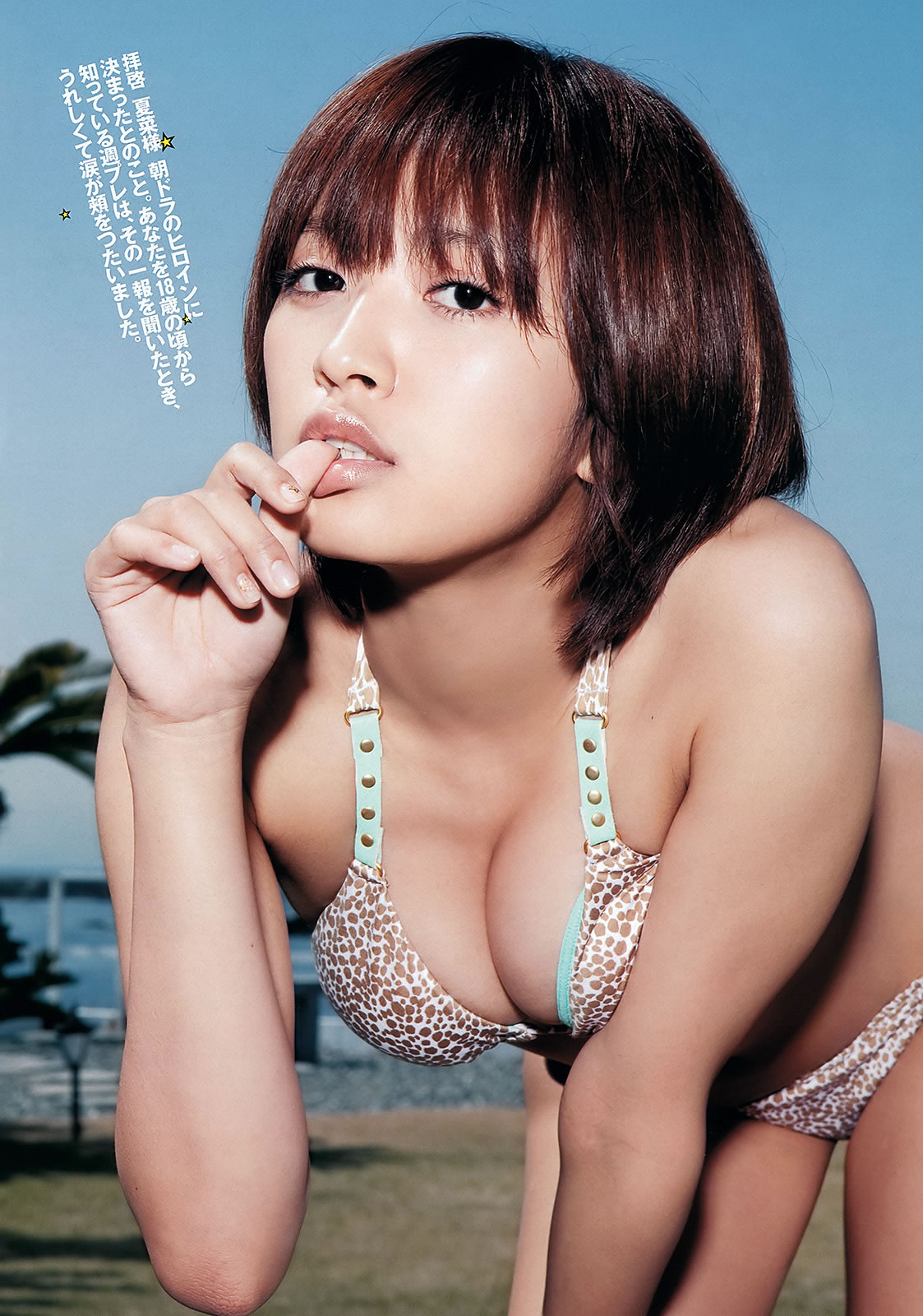 [Weekly Playboy]高清写真图2012 No.21 夏菜 渡辺美优纪 和田絵莉 森田凉花 希志あいの 橘丽美