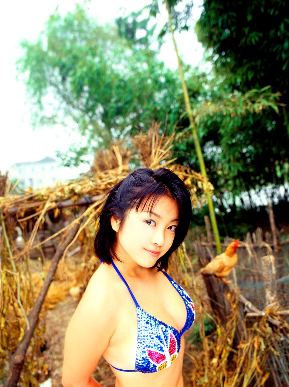小向美奈子 [NS Eyes套图写真图集]高清写真图SF-No.126