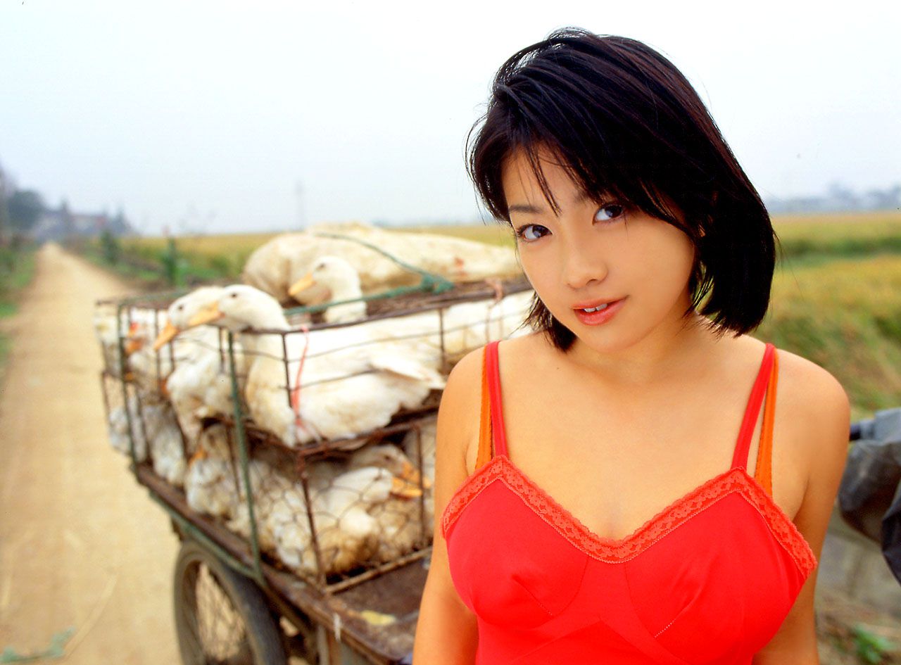 小向美奈子 [NS Eyes套图写真图集]高清写真图SF-No.126