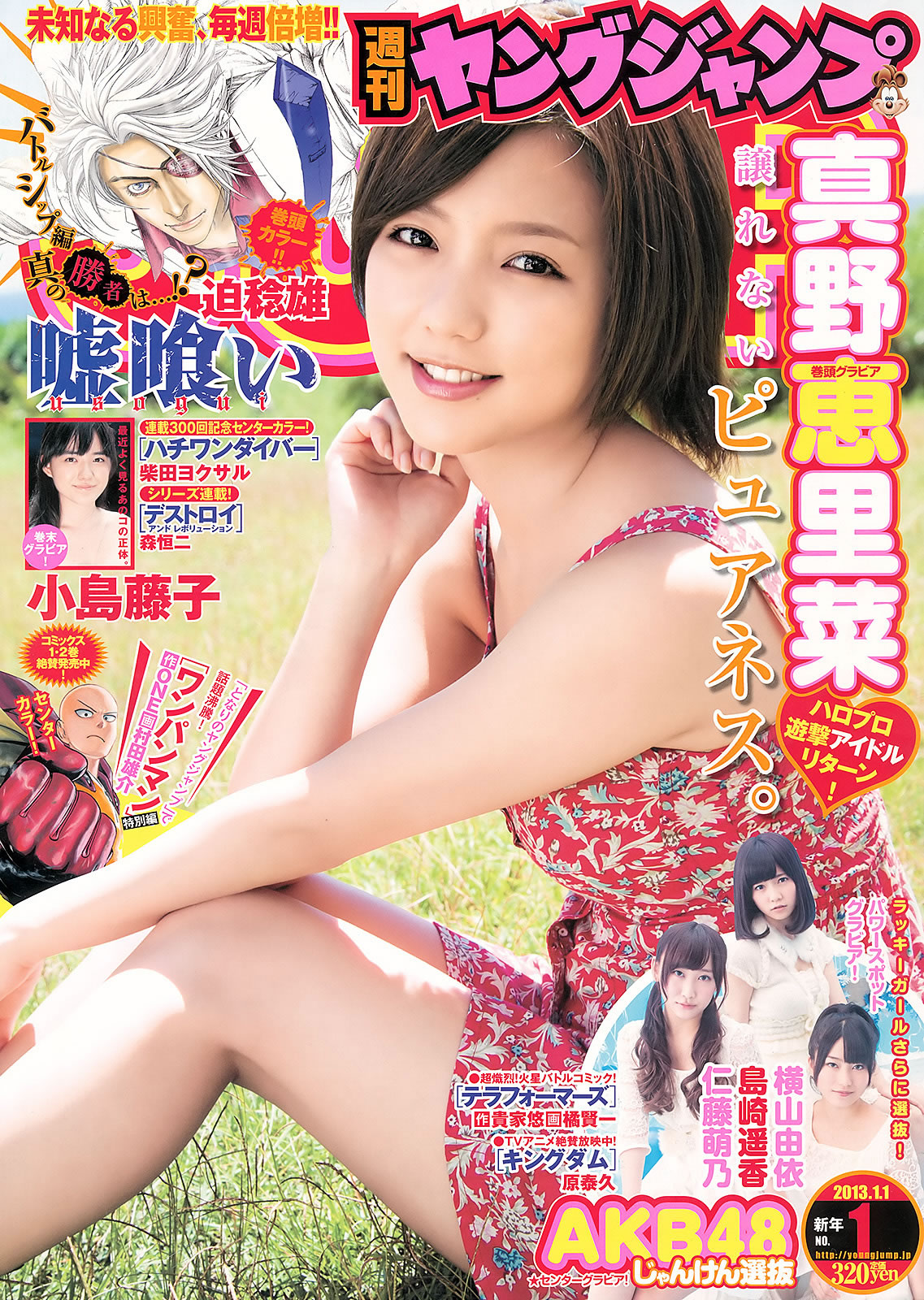 [Weekly Young Jump]高清写真图2013 No.01 02 真野恵里菜 AKB48 小岛藤子 佐々木希 新井ひとみ