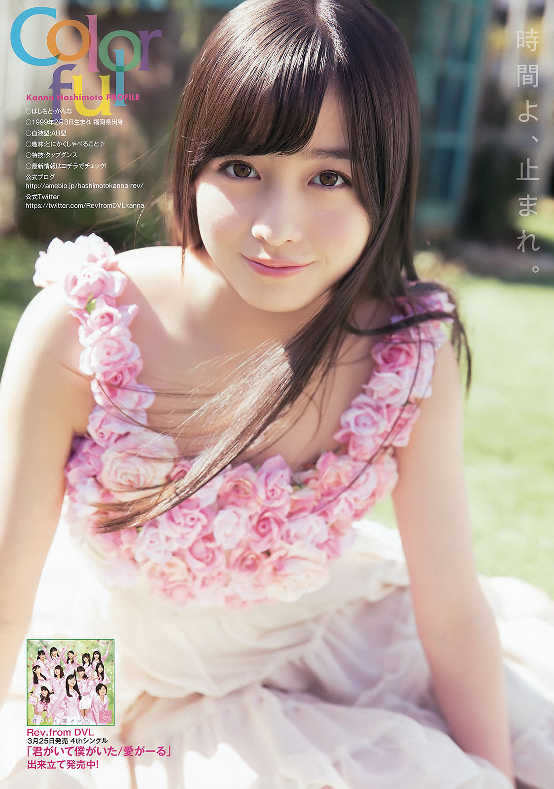[Young Animal]高清写真图2015 No.07 桥本环奈 大贯彩香 大场美奈
