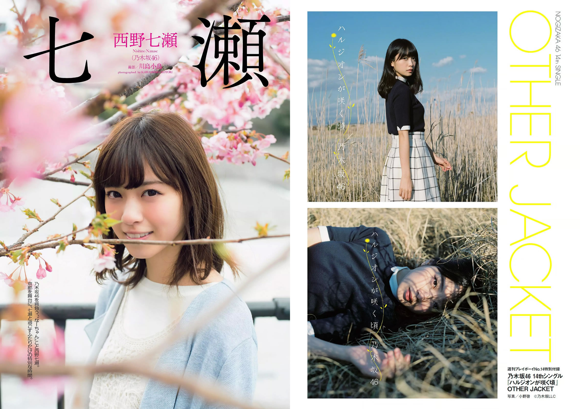 [Weekly Playboy]高清写真图2016 No.14 西野七瀬 RaMu 柳ゆり菜 橋本マナミ 生田佳那 天使もえ 青山ひかる
