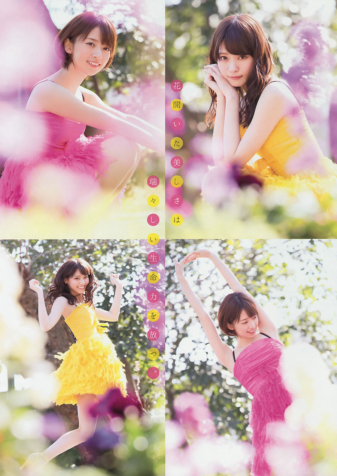 [Young Magazine]高清写真图2015 No.15 16 柳ゆり菜 上野优华 西野七瀬 桥本奈々未