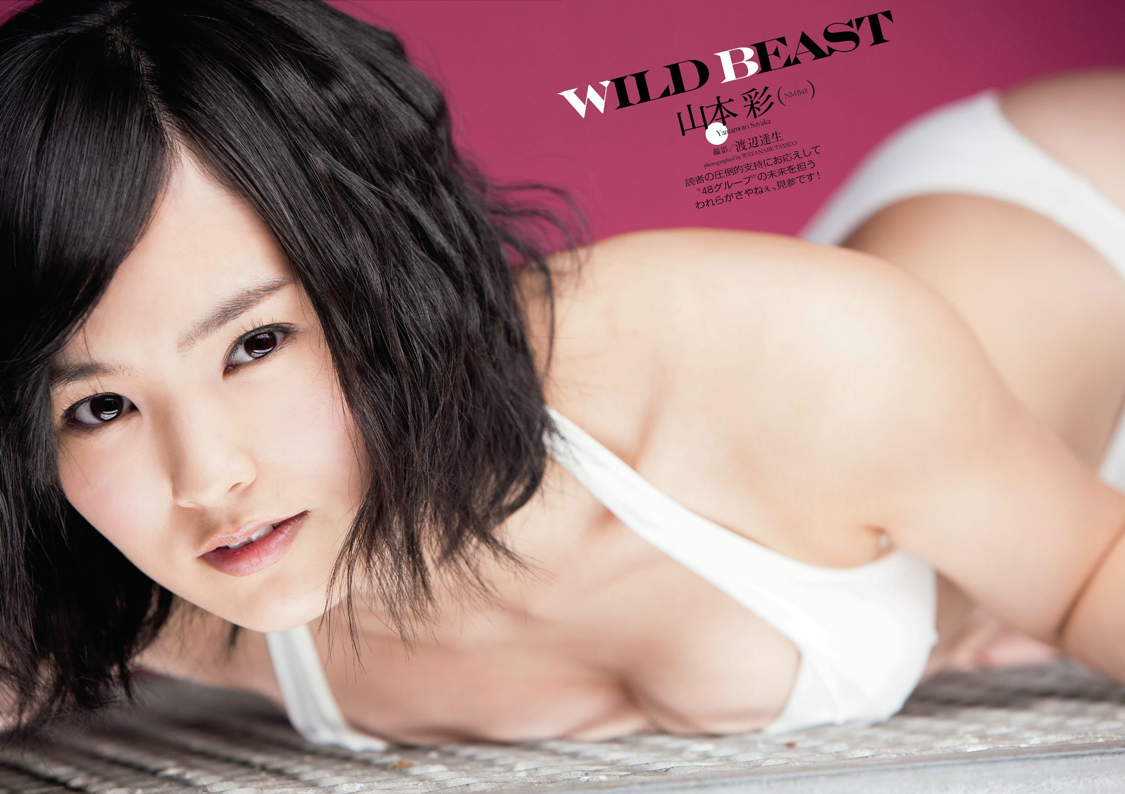 [Weekly Playboy]高清写真图2014 No.07 山本彩 藤崎ルキノ 大岛珠奈 门脇麦 副岛美咲 神室舞衣 戸田れい KONAN 高宫まり 安斋らら