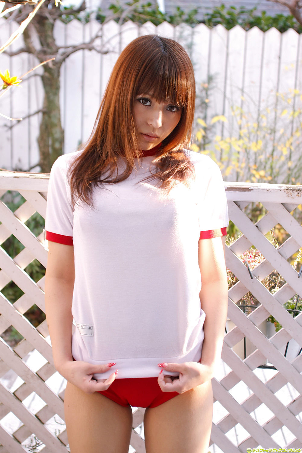 樱咲爱利(桜咲愛利)-[DGC]高清写真图套图写真图集No.812