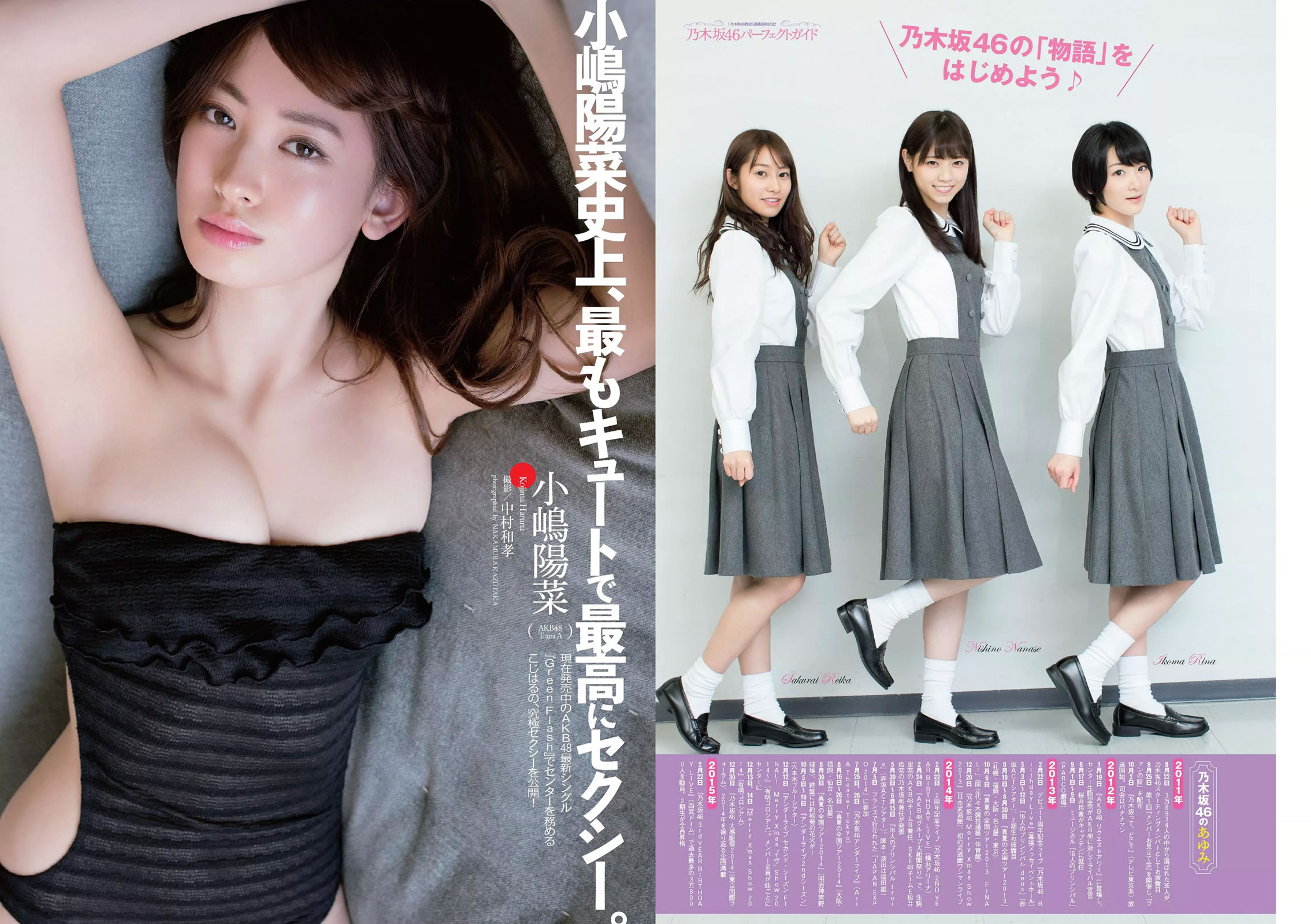 [Weekly Playboy]高清写真图2015 No.13 小嶋阳菜 乃木坂46 佐藤ありさ 中村静香 桥本奈々未 都丸纱也华 森崎まみ 兎丸爱美 瑠川リナ