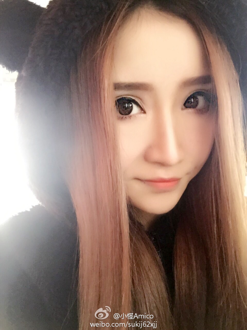 兔子写真