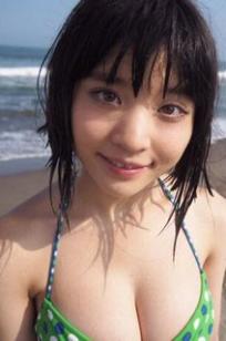 根本风
