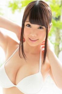雏菊翼