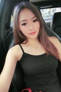 灰猫猫小乖